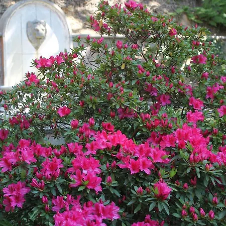 Chantaco Golf & Wellness