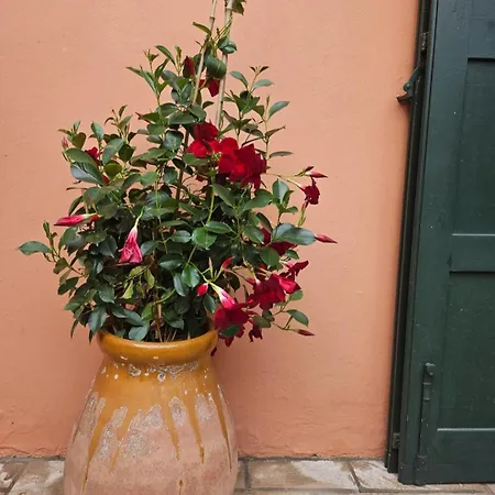 Hotel Chantaco Golf & Wellness 4*