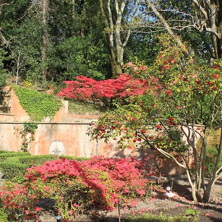 Chantaco Golf & Wellness 4*