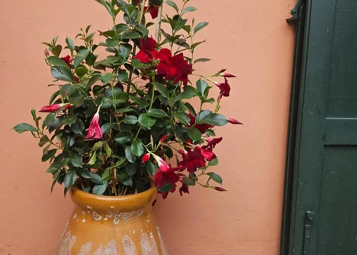 Отель Chantaco Golf & Wellness 4*