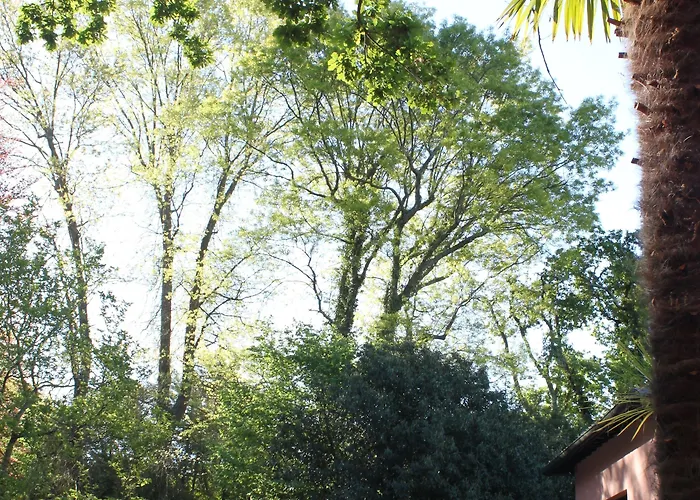 Hotel Chantaco Golf & Wellness