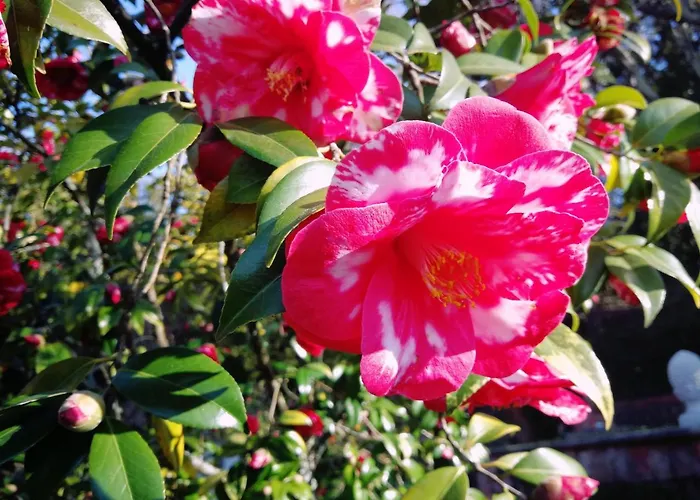 Отель Chantaco Golf & Wellness 4*